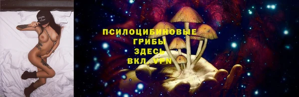 ALPHA-PVP Осташков