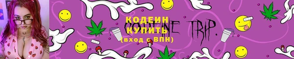 шишки Ельня