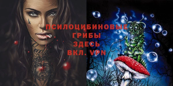 дживик Тобольск