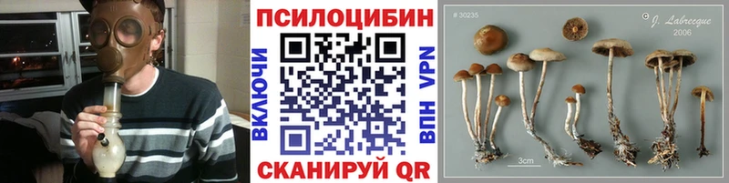 Псилоцибиновые грибы MAGIC MUSHROOMS  Баксан 