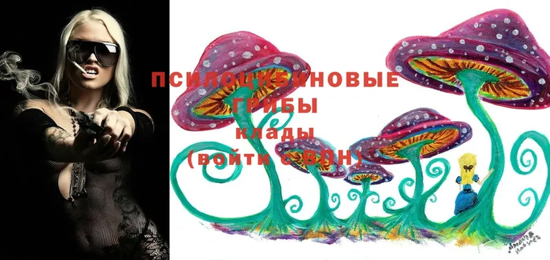 Псилоцибиновые грибы Magic Shrooms Баксан