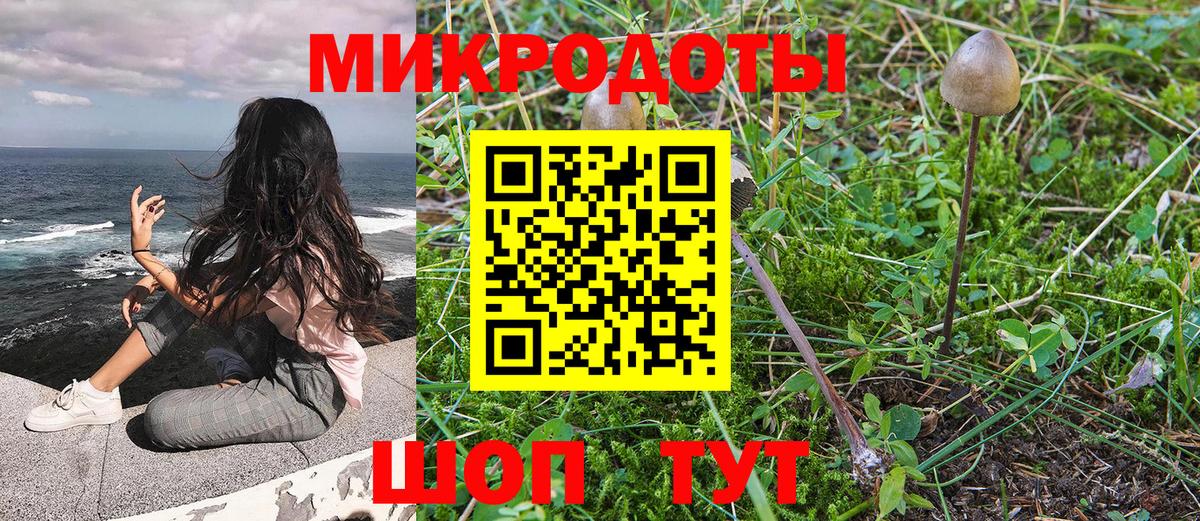 Псилоцибиновые грибы мицелий Баксан