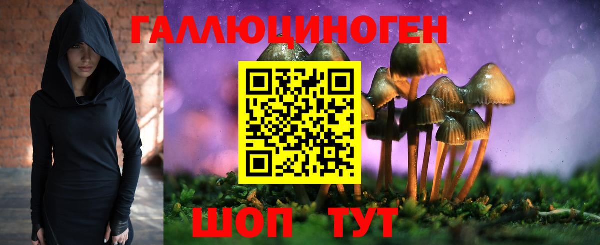Псилоцибиновые грибы Psilocybe  Галлюциногенные грибы мицелий  Баксан  Вход с VPN 